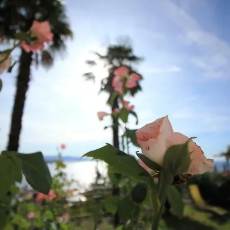 公寓 Tramontana Leeward - Cozy And Charming In Beautiful Volosko